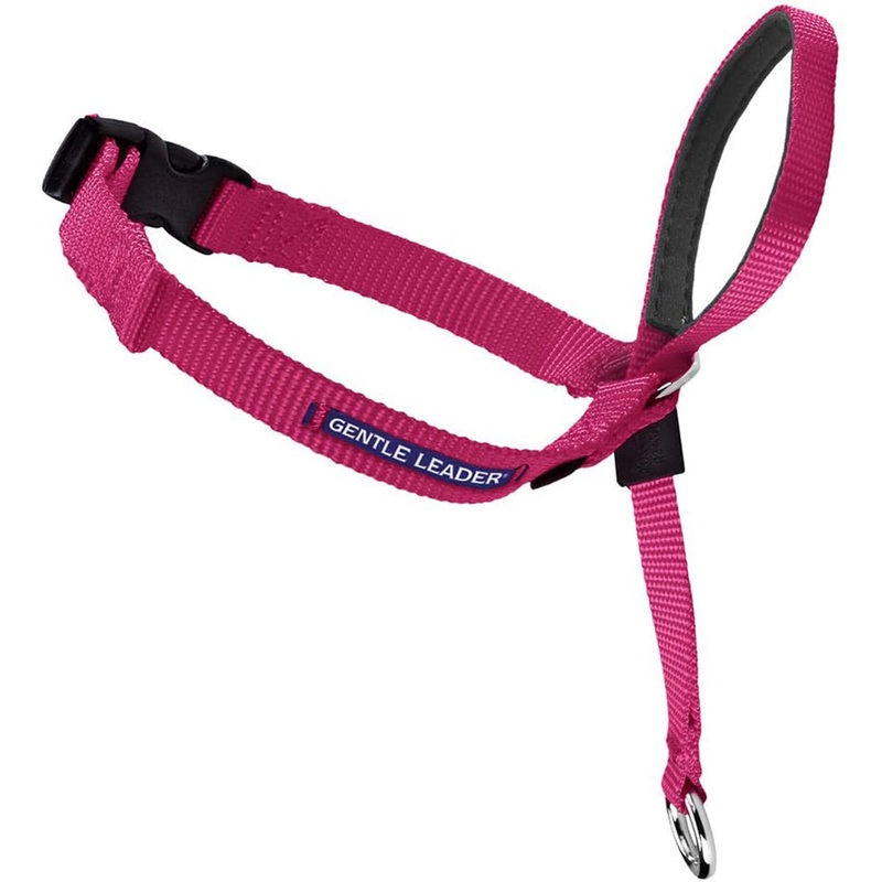 PetSafe Gentle Leader Headcollar Large Raspberry