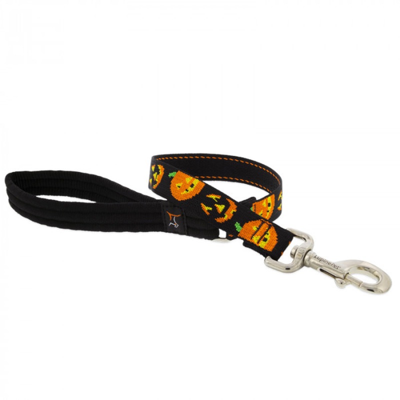 Lupine Dog Leash 3/4" Wide x 6' Long  Jack O' Lantern