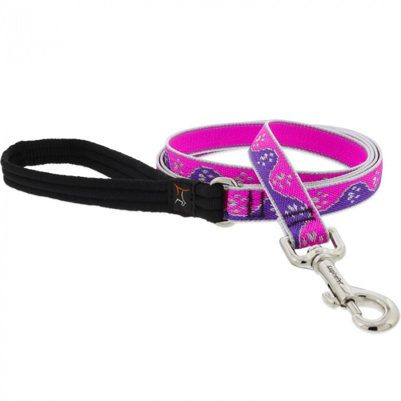 Lupine Dog Leash 3/4" Width X 6' Length High Lights Pink Paws