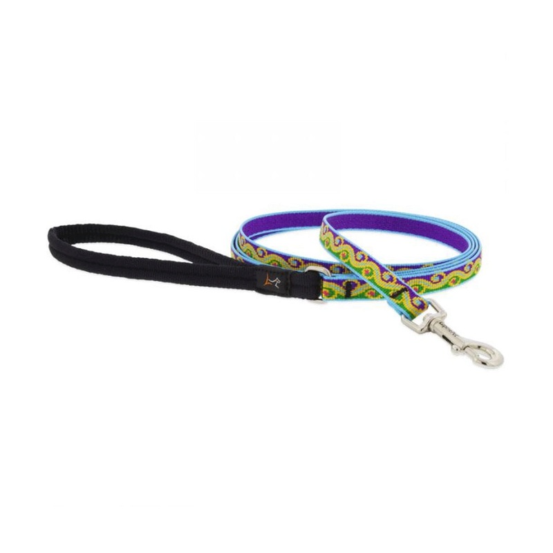Lupine Dog Leash Party Time 1/2" X 6'
