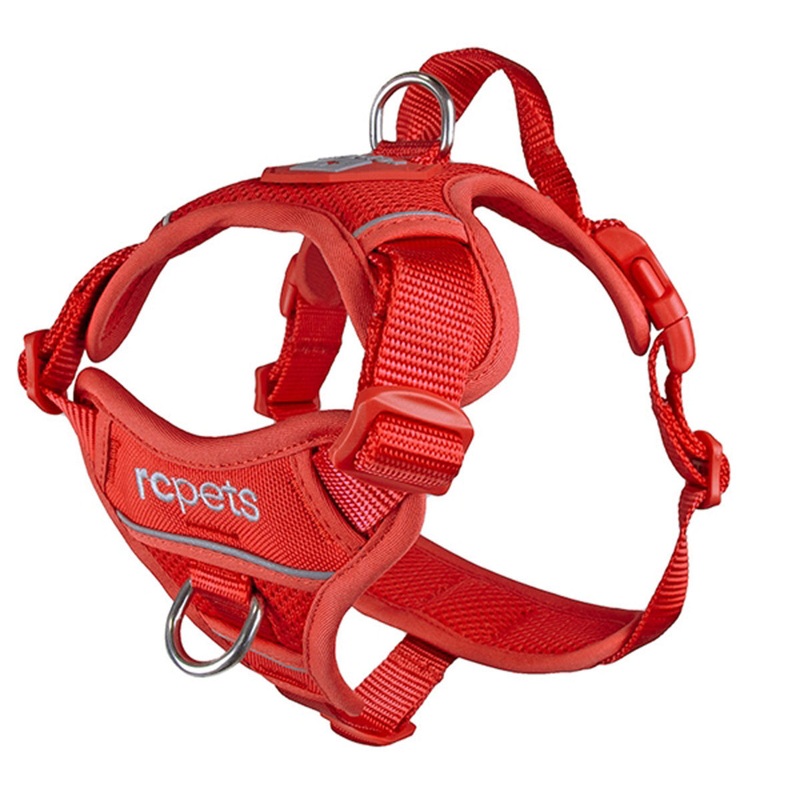 RC Pets Momentum Control Dog Harness M Goji Berry