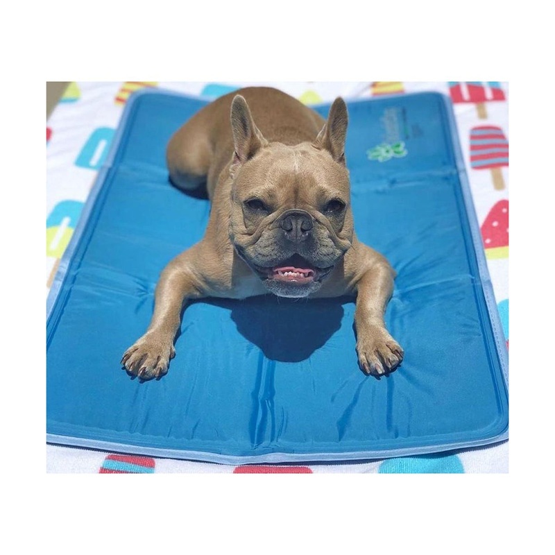 The Green Pet Shop Cool Pet Pad Small