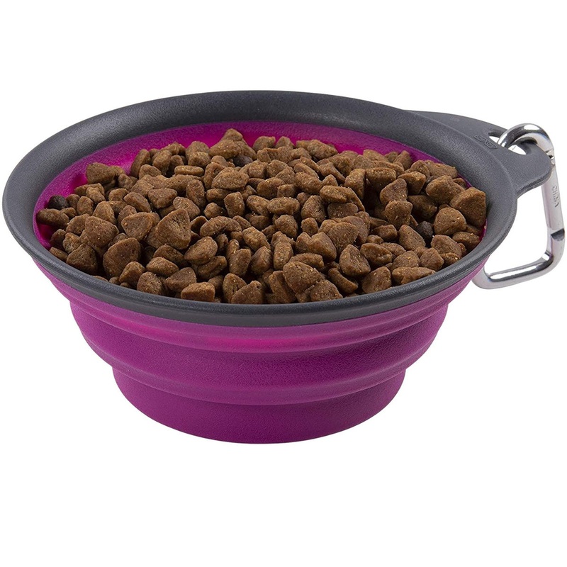 Dexas Pets Collapsible Travel Cup Fuchsia 2 Cup