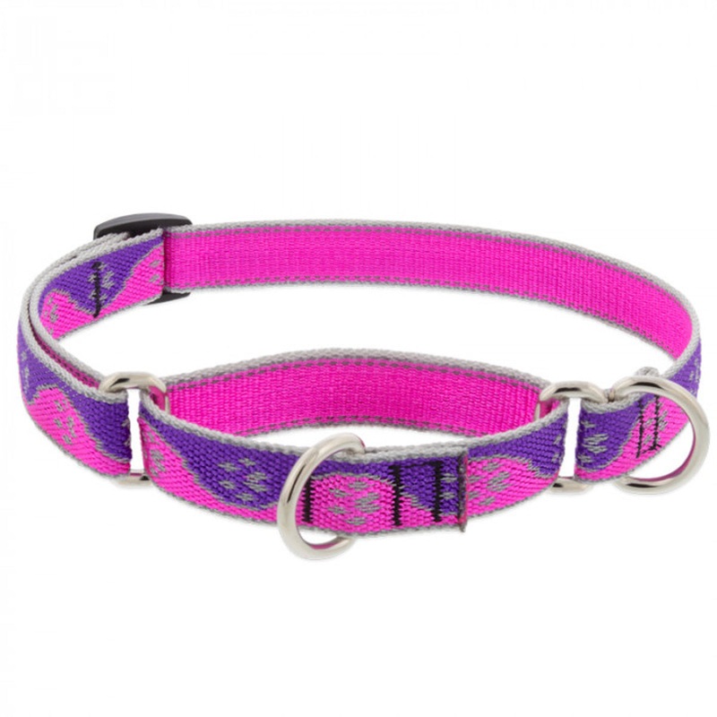 Lupine Dog Collar Martingale 3/4" Wide X 14"-20" Neck Size Pink Paws