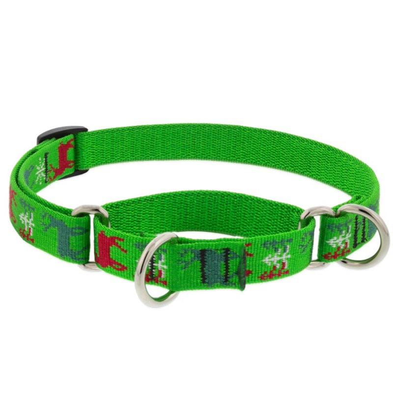 Lupine Martingale Training Dog Collar 3/4" Wide 10"-14" Neck Size Happy Holidays Green
