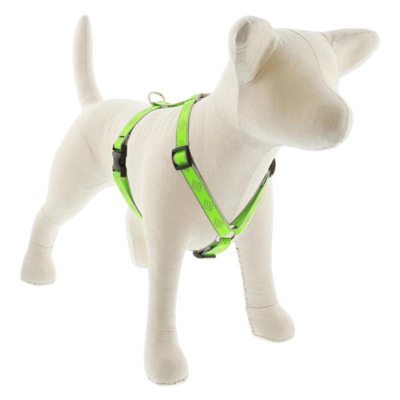 Lupine Reflective Roman Dog Harness 3/4" Wide 12"-20" Girth Green Diamond