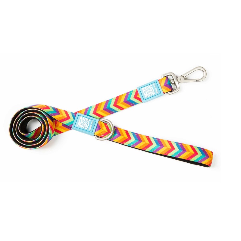 Max&Molly Leash Summertime