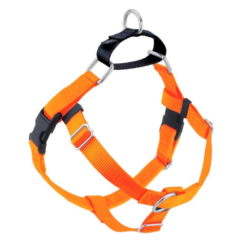 2 Hounds Design Freedom No-Pull Dog Harness Neon Orange 1"M 24"28"