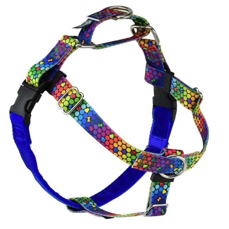 2 Hounds Design Freedom No-Pull Dog Roy G BIV XL 32"36"