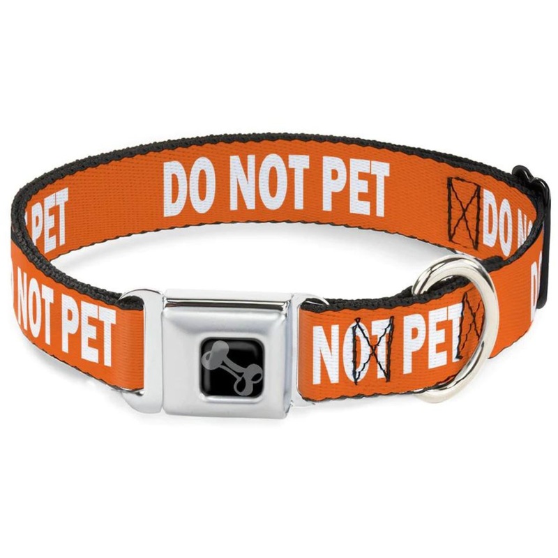 Buckle-Down Dog Bone Seatbelt Collar Do Not Pet WL 20-31