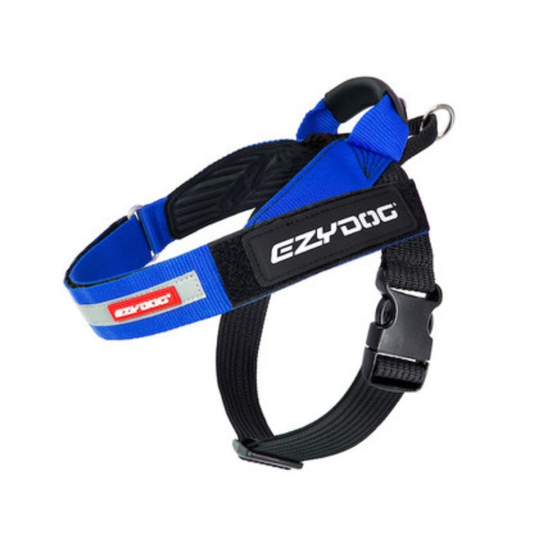 Ezydog Express Dog Harness Blue XL