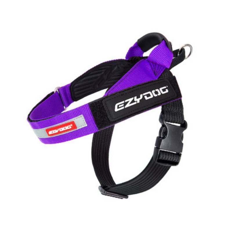 Ezydog Express Dog Harness Purple M