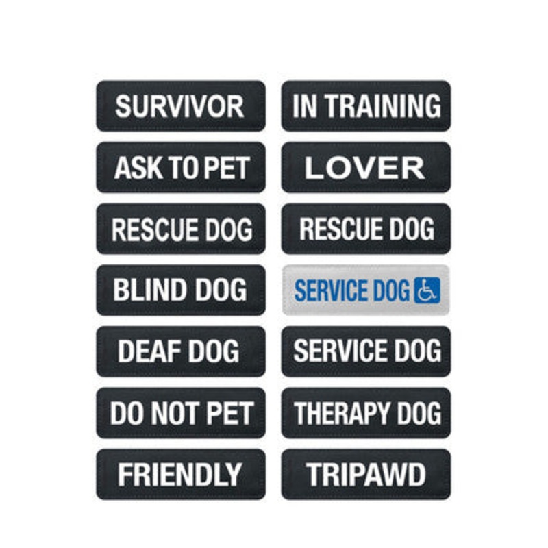 Ezydog Side Badge Ask to Pet For Dogs L