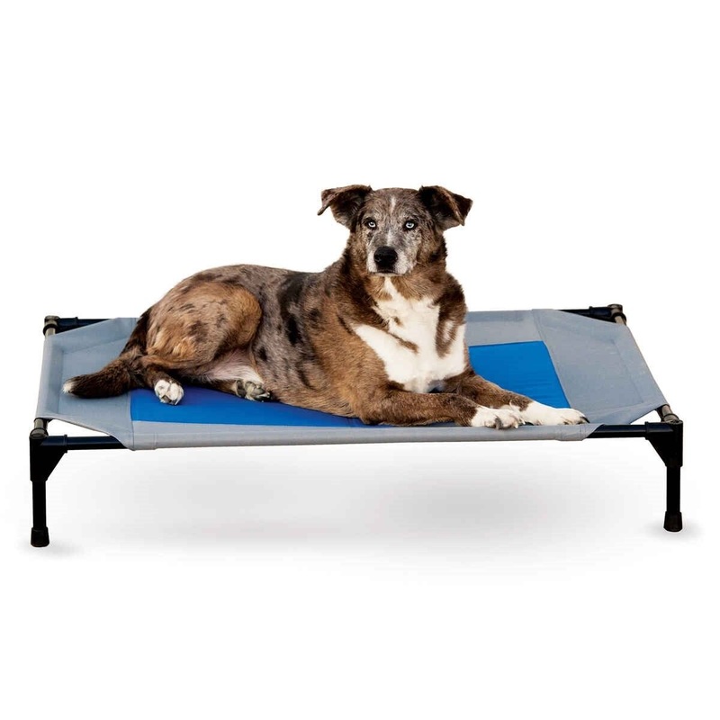 K&H Pet Products Coolin' Pet Cot Large Gray Blue