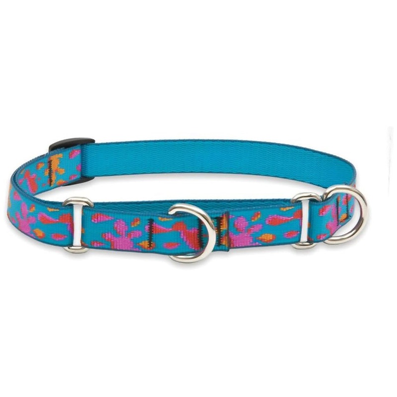 Lupine Martingale Dog Collar 3/4" Wide X 14-20" Neck Size Wet Paint