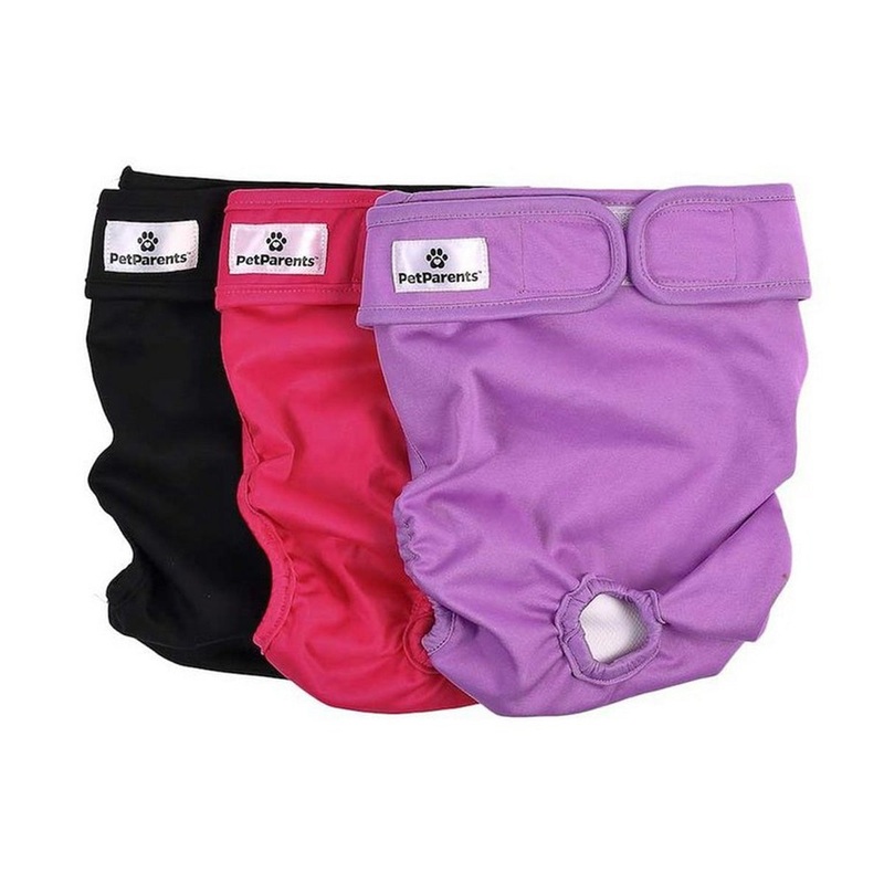 Pet Parents Reusable Princess Dog Diapers 3Pk Medium