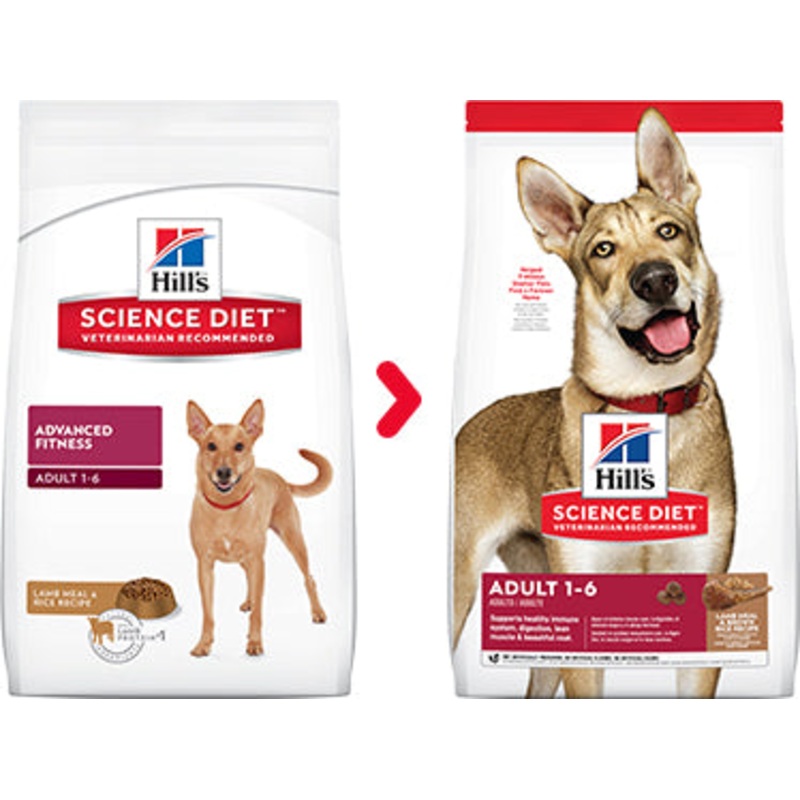 Science Diet Adult Lamb Meal & Brown Rice Recipe Dry Dog Food 15.5lb