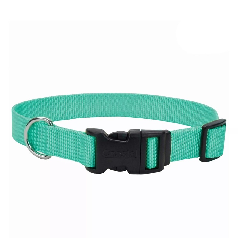 Coastal Adjustable Dog Collar with Plastic Buckle 1" x 18" - 26" Teal
