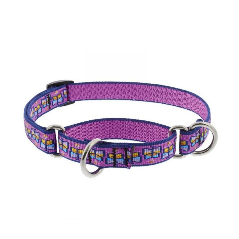 Collar Combo Martingale 3/4" Wide X 9-14" Neck Size Flutterby