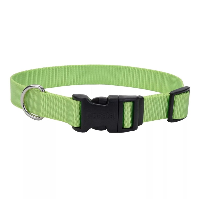 Coastal Adjustable Dog Collar with Plastic Buckle 3/8" x 8" - 12" Lime
