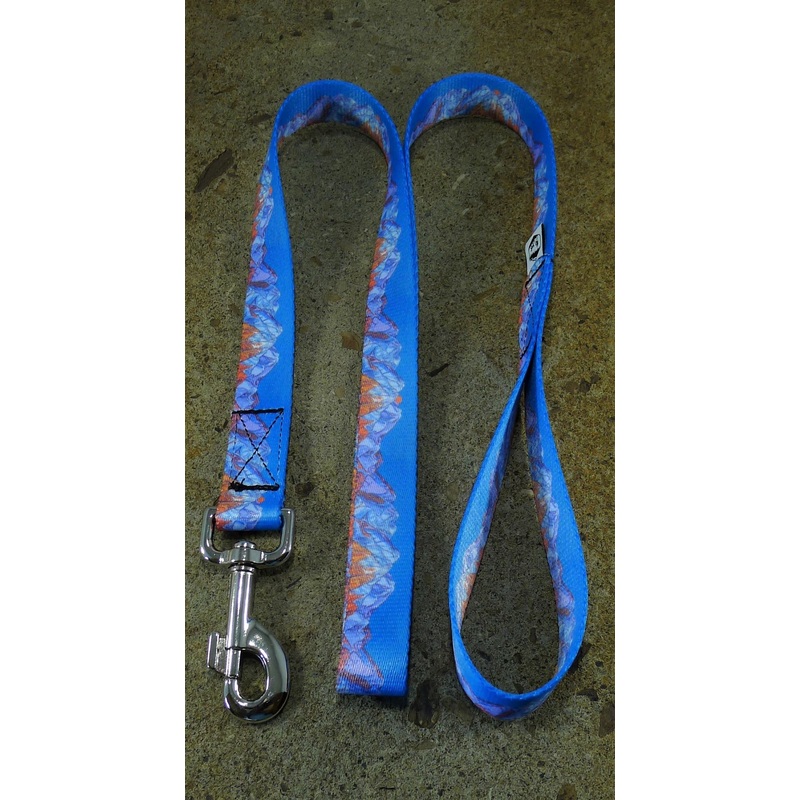 MTN Straps Wasatch Front Dog Leash 6'