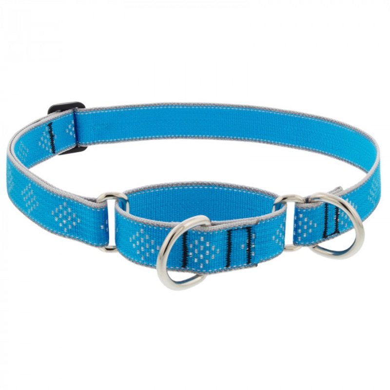 Lupine Dog Collar Martingale 1" Wide X 15"-22" Neck Size Blue Diamond