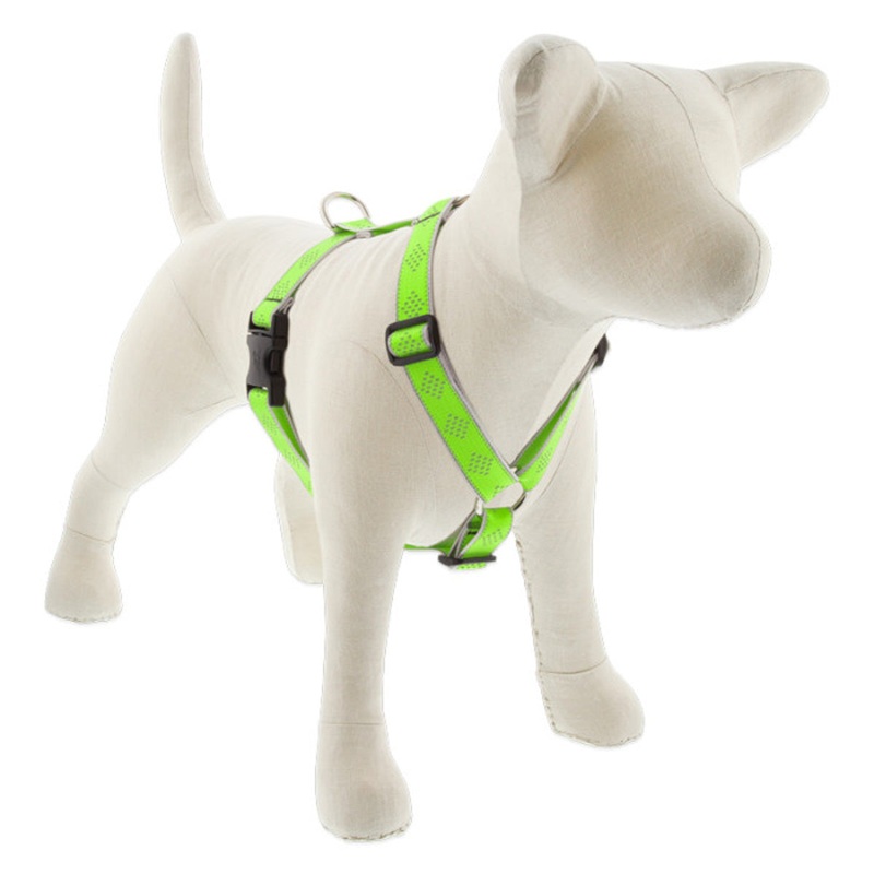 Lupine Reflective Roman Dog Harness 1" Wide 24"-38" Girth Green Diamond