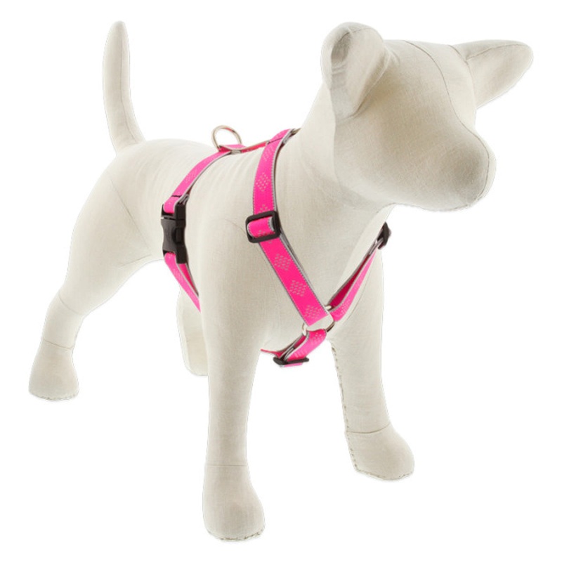 Lupine Reflective Roman Dog Harness 1" Wide 24"-38" Girth Pink Diamond