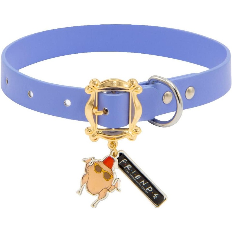 Buckle-Down Dog Collar, Friends, Monicas Peephole Frame Cast Buckle with Turkey and Friends Charms, Large