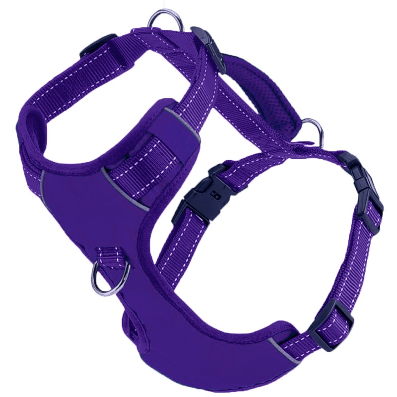 Chesapeake Bay Dog Harness Purple Rain Extra Large