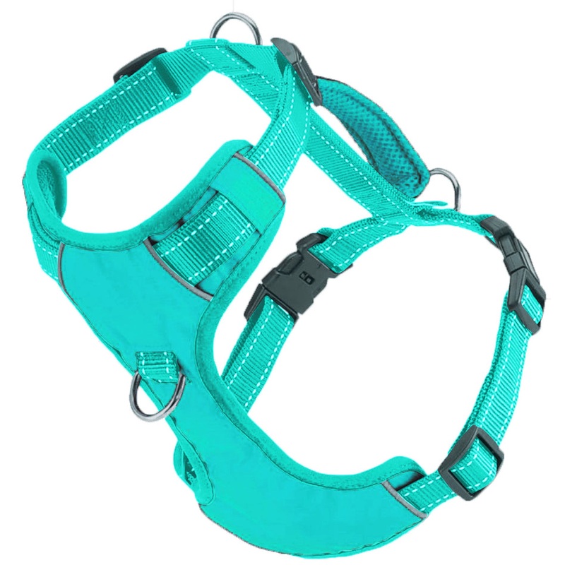 Chesapeake Bay Dog Harness Sea Foam Extra Large