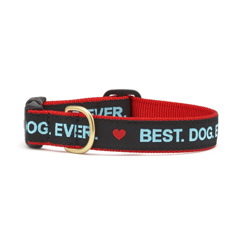 Up Country Best Dog Ever Dog Collar X-Large 18"-24"/1"
