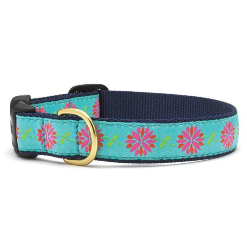 Up Country Dahlia Darling Dog Collar X-Large 18"-24"/1"