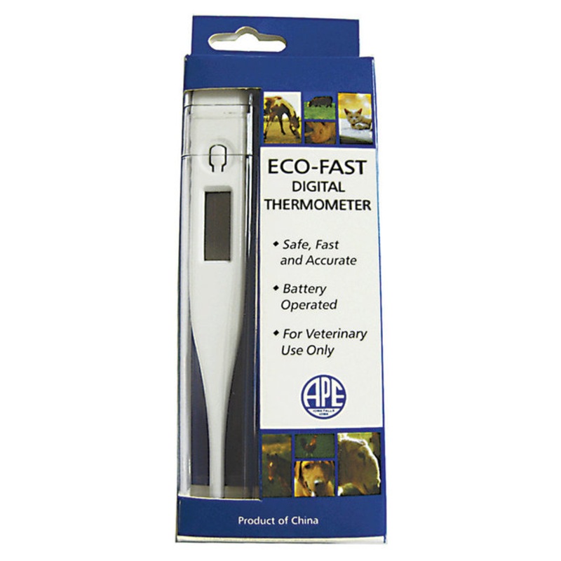 VSI Eco-Fast Digital Thermometer