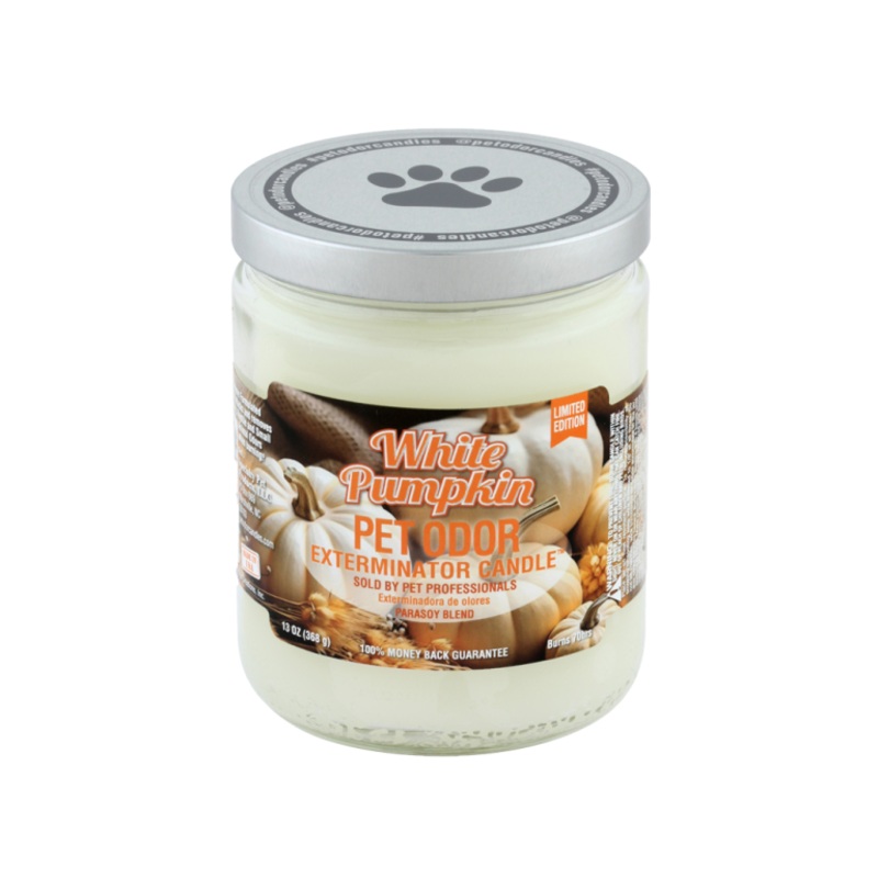 Candle White Pumpkin 13oz