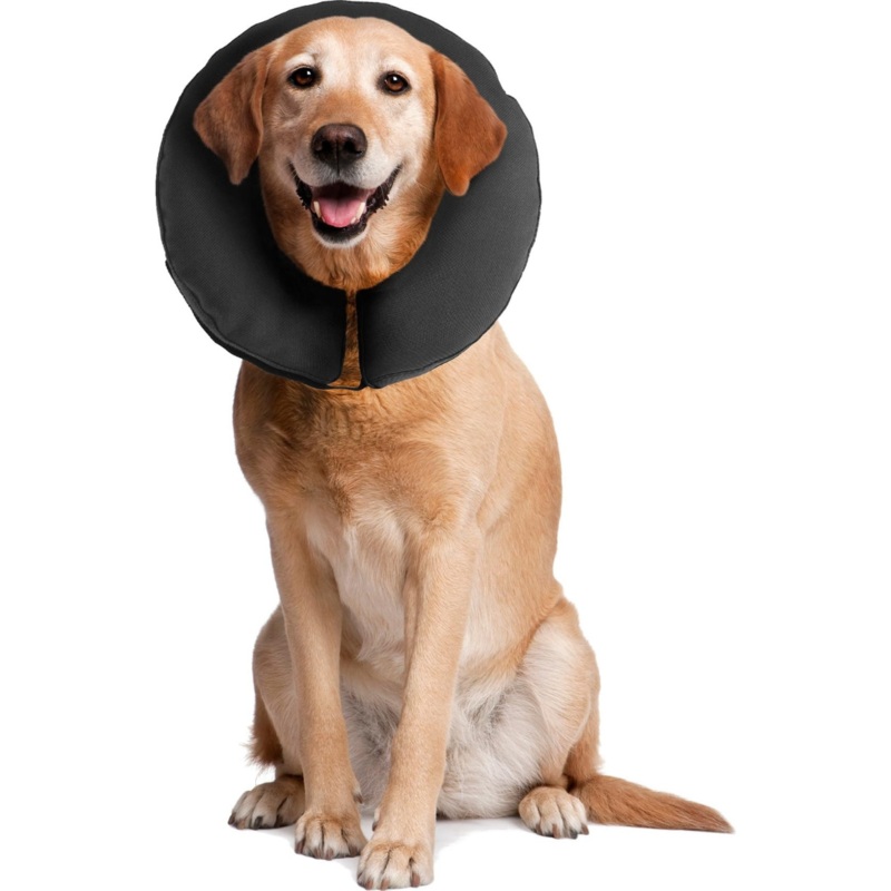 ZenPet Protective Inflatable Recovery Collar for Dogs and Cats X-Large