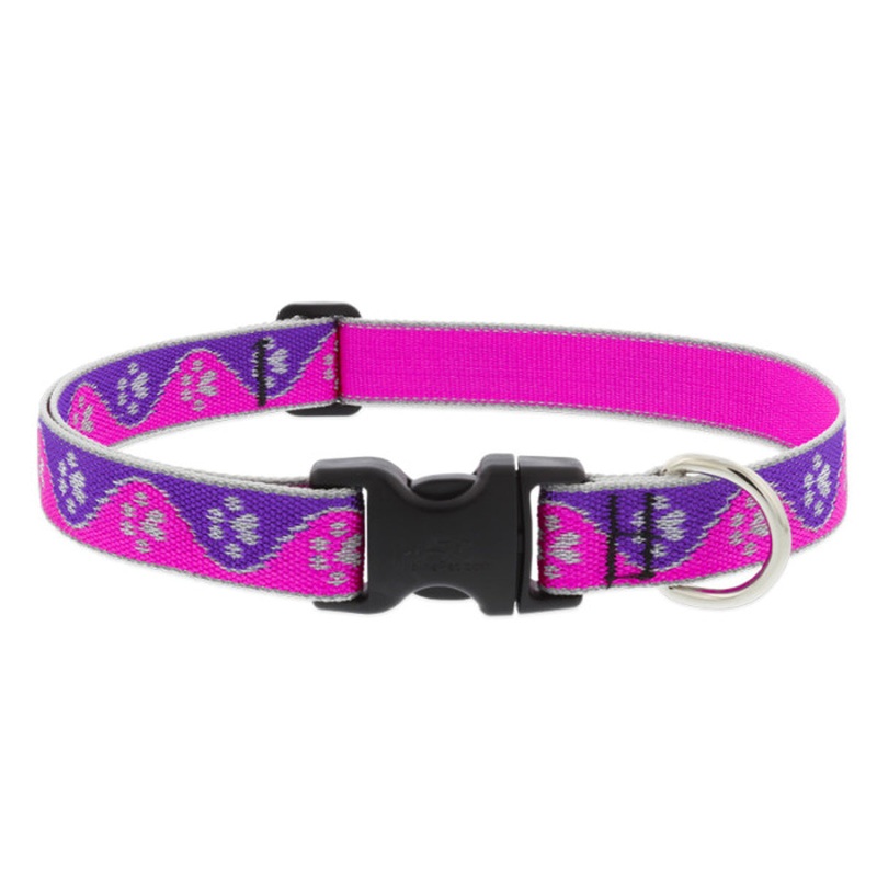 Lupine Reflective Dog Collar 1" Wide 12"-20" Neck Size Pink Paws