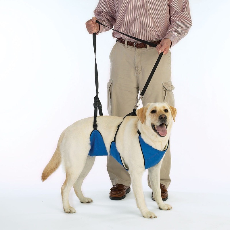 PET EDGE Total Pet Health Lift & Lead 4 in 1 Extra Large