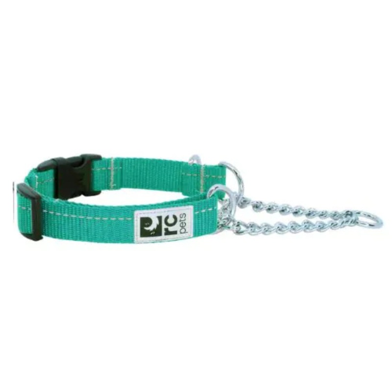 RC PETS Primary Training Clip Dog Collar, Parakeet, M, 1"x 14"-19"