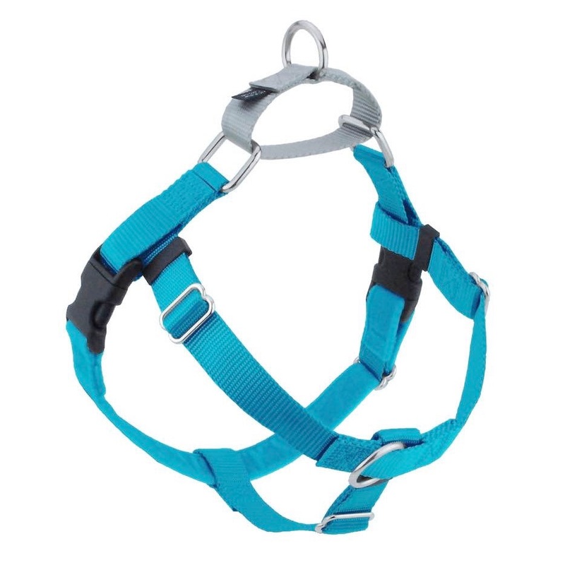 2 Hounds Design Freedom No-Pull Dog Harness Classic Turquoise L