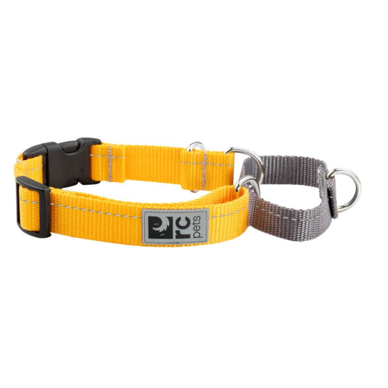 RC PETS Dog Primary Web Training Clip Collar, Marigold, L, 1"/ 18"-26"