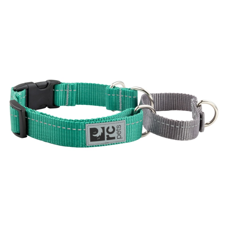 RC PETS Dog Primary Web Training Clip Collar, Parakeet, L, 1"/ 18"-26"