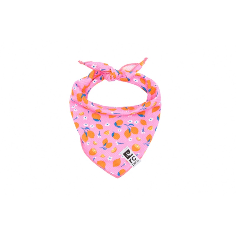 RC PETS Dog Zephyr Cooling Bandana, Zesty, M/L, 15" - 25"
