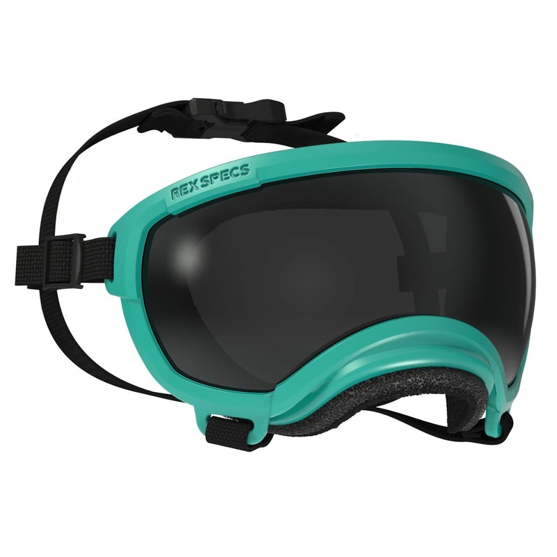 Rex Specs Goggles for Dogs - V2 Small Tazer Teal
