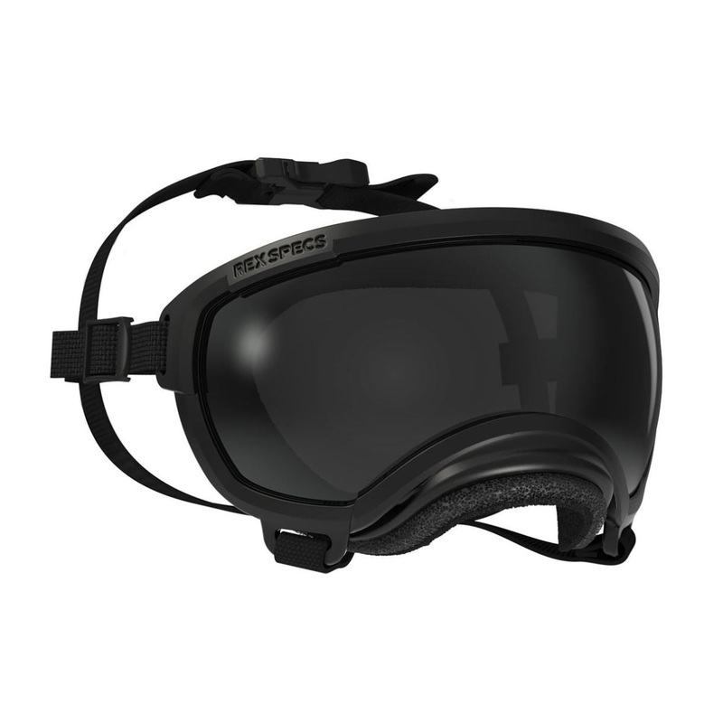 Rex Specs Goggles for Dogs - V2 X-Small Black