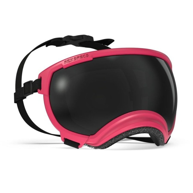 Rex Specs Dog Goggles - V2 Yazberry Small
