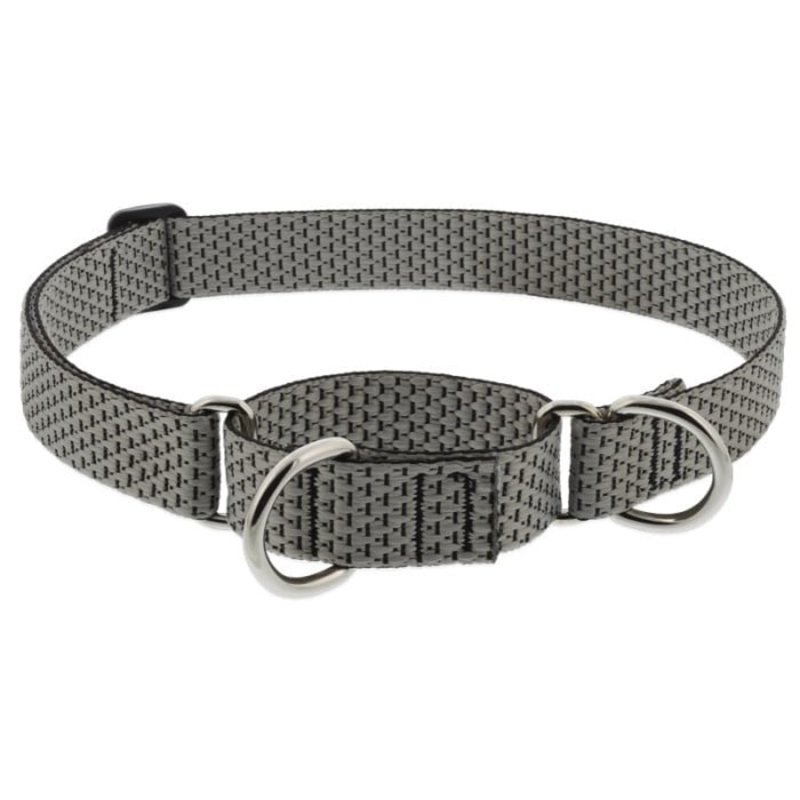 Lupine Eco Martingale Dog Collar for Training 1" x 15"-22" Granite