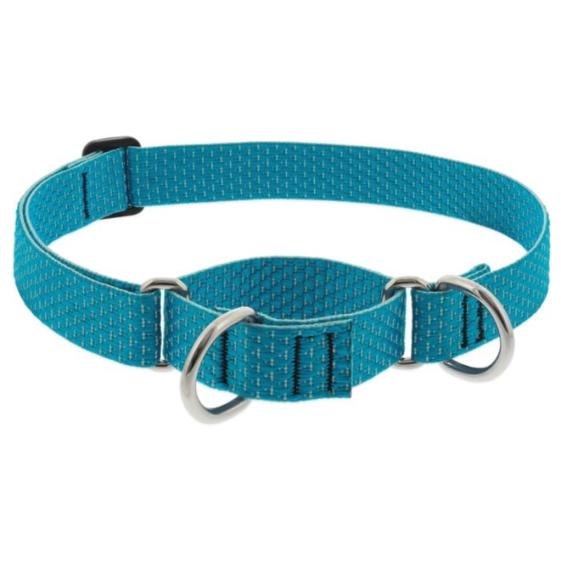 Lupine Eco Martingale Dog Collar for Training 1" x 15"-22" Tropical Sea