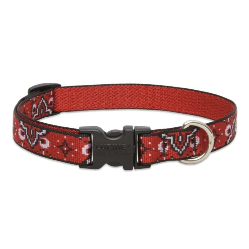 Lupine Pet Dog Collar 3/4" x 9"-14" Wild West