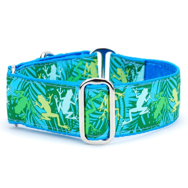 2Hounds Design Coqui Surf  Exclusive Dog Collar Large